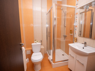 Hotel Miky Arad de vanzare bussiness operational functional - 38 camere imagine mica 17, foxfort.ro