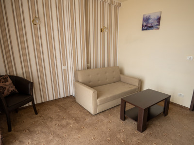 Hotel Miky Arad de vanzare bussiness operational functional - 38 camere imagine mica 25, foxfort.ro