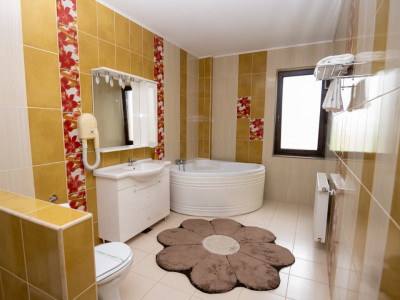 Hotel Miky Arad de vanzare bussiness operational functional - 38 camere imagine mica 34, foxfort.ro