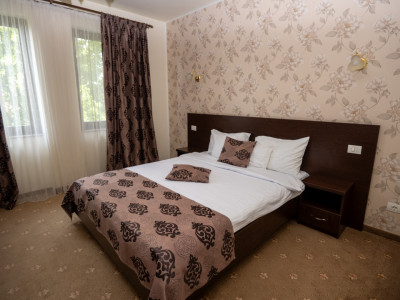 Hotel Miky Arad de vanzare bussiness operational functional - 38 camere imagine mica 35, foxfort.ro