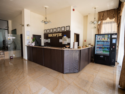Hotel Miky Arad de vanzare bussiness operational functional - 38 camere imagine mica 65, foxfort.ro
