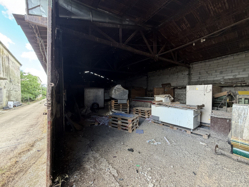 Depozit de vanzare cu suprafata utila de 450 mp - Ortisoara 4, foxfort.ro