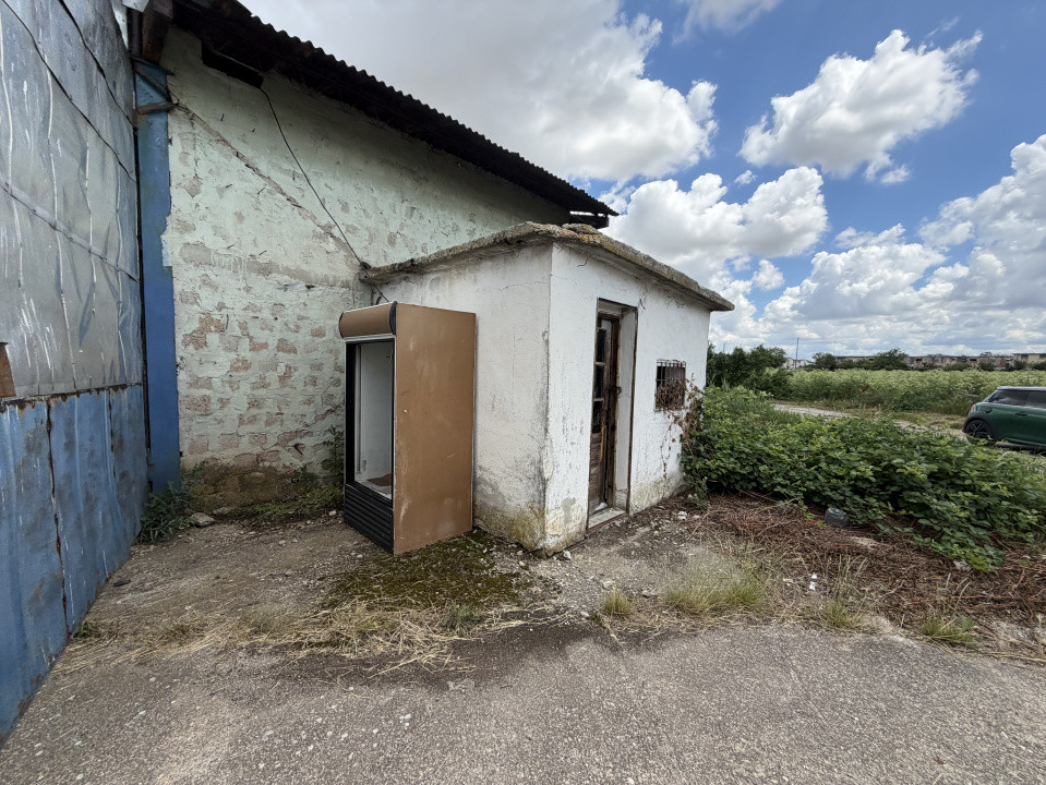 Depozit de vanzare cu suprafata utila de 450 mp - Ortisoara 6, foxfort.ro