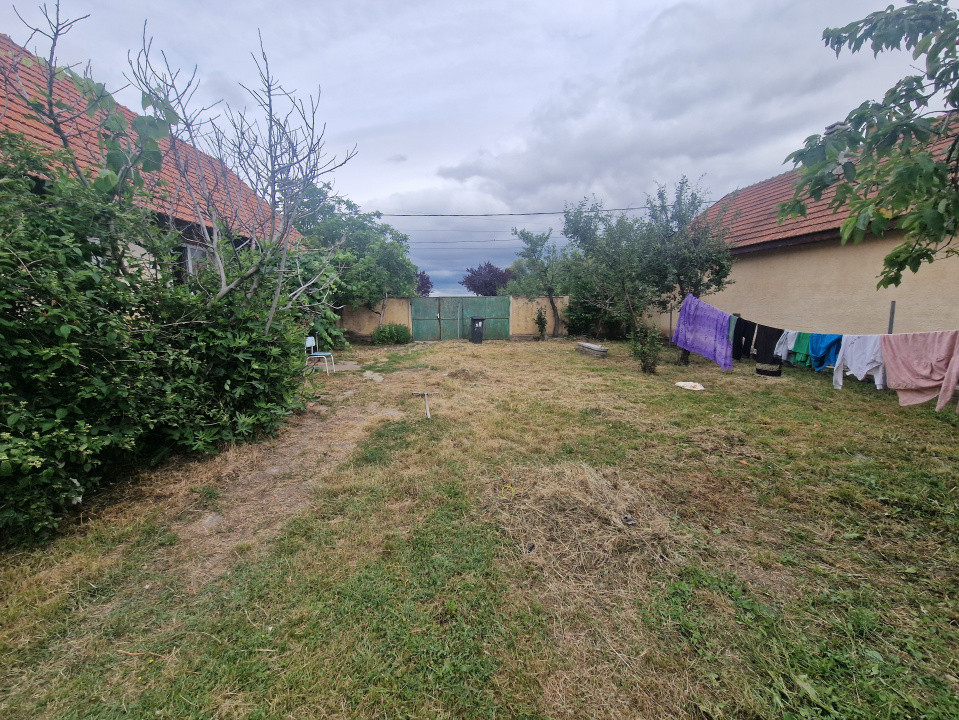 Teren intravilan de 1438 mp de vanzare, in Recas 2, foxfort.ro