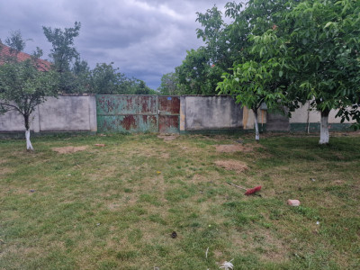 Teren intravilan de 1438 mp de vanzare, in Recas