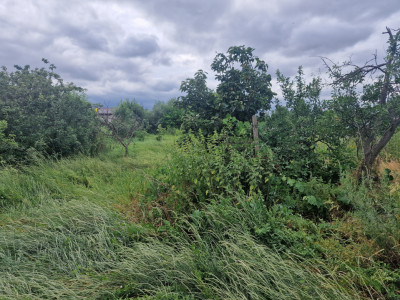 Teren intravilan de 1438 mp de vanzare, in Recas imagine mica 10, foxfort.ro