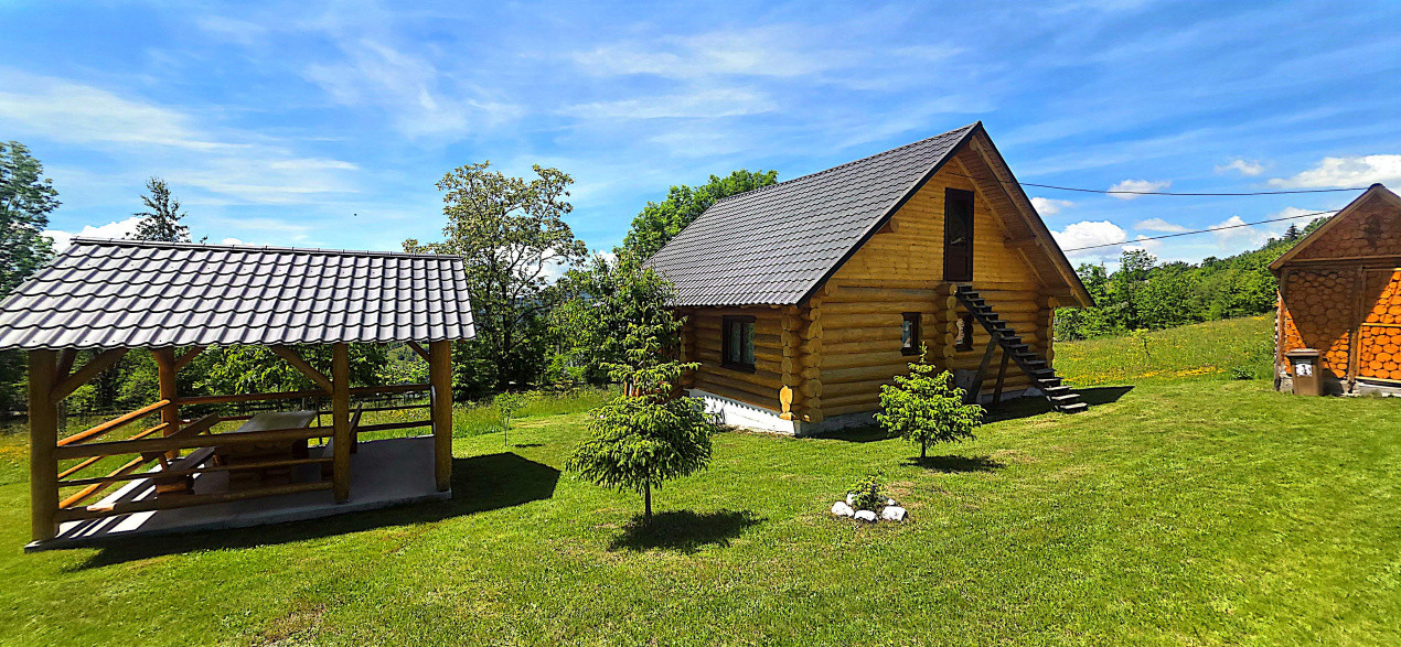 Cabana cu 7 camere de vanzare in Albac - V10073 8, foxfort.ro
