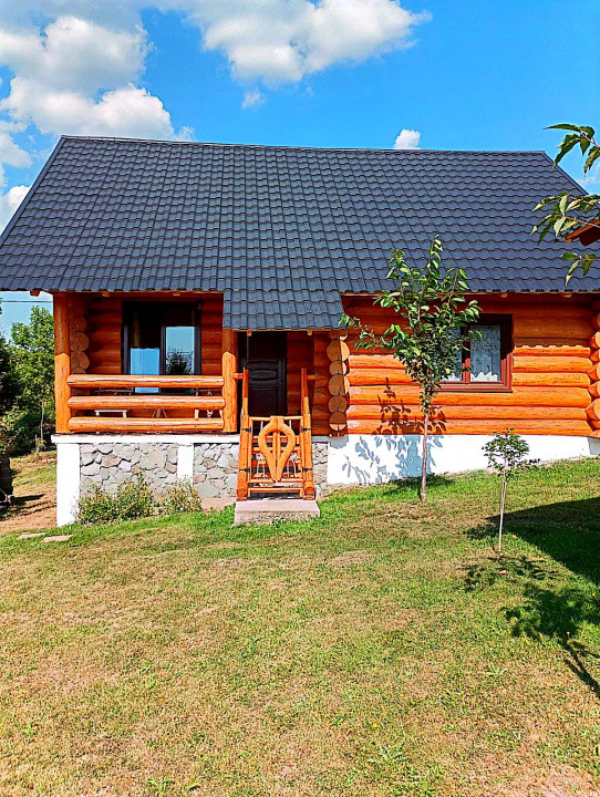 Cabana cu 7 camere de vanzare in Albac - V10073 14, foxfort.ro