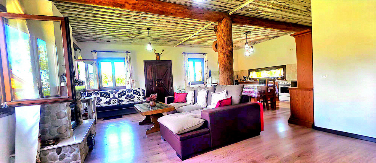 Cabana cu 7 camere de vanzare in Albac - V10073 16, foxfort.ro