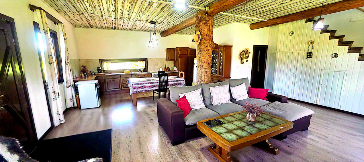 Cabana cu 7 camere de vanzare in Albac - V10073 17, foxfort.ro