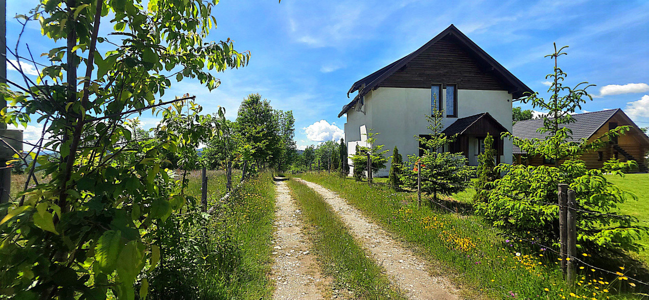 Cabana cu 7 camere de vanzare in Albac - V10073 21, foxfort.ro