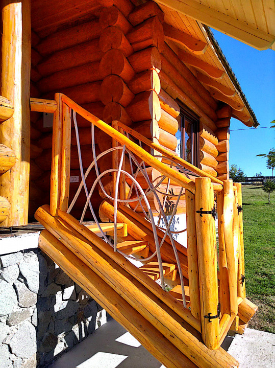 Cabana cu 7 camere de vanzare in Albac - V10073 32, foxfort.ro