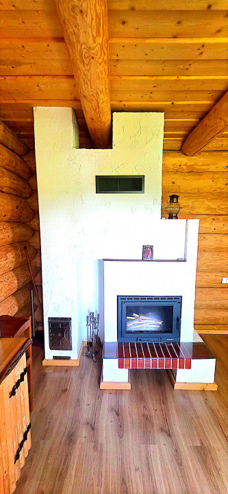 Cabana cu 7 camere de vanzare in Albac - V10073 38, foxfort.ro