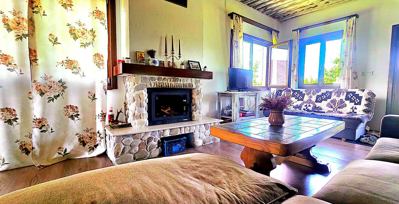 Cabana cu 7 camere de vanzare in Albac - V10073 43, foxfort.ro