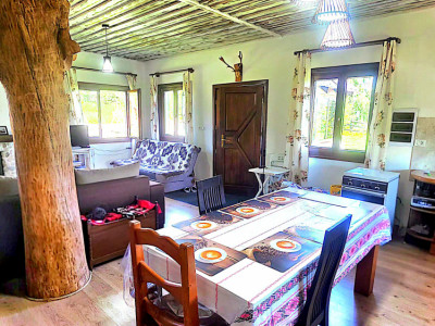 Cabana cu 7 camere de vanzare in Albac - V10073 imagine mica 4, foxfort.ro