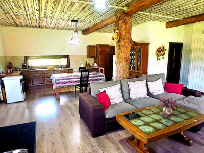 Cabana cu 7 camere de vanzare in Albac - V10073 imagine mica 17, foxfort.ro