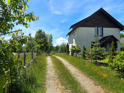 Cabana cu 7 camere de vanzare in Albac - V10073 imagine mica 21, foxfort.ro