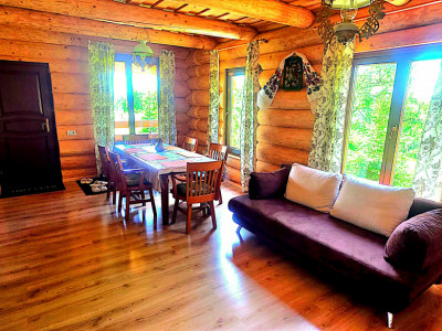Cabana cu 7 camere de vanzare in Albac - V10073 imagine mica 33, foxfort.ro