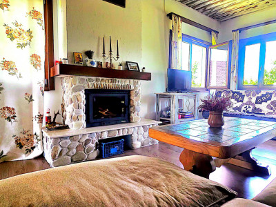 Cabana cu 7 camere de vanzare in Albac - V10073 imagine mica 43, foxfort.ro