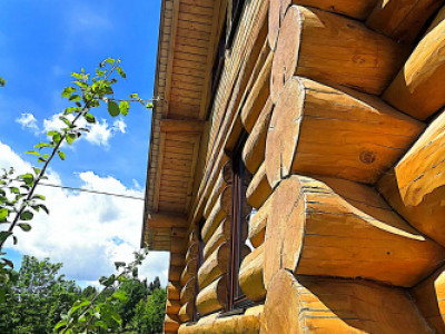 Cabana cu 7 camere de vanzare in Albac - V10073 imagine mica 49, foxfort.ro