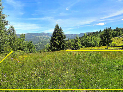 Teren de vanzare | 803 mp | Jud. Alba 