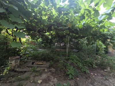 Casa individuala de vanzare cu 2 camere, in Arad, zona Lebada, Teren 280 mp imagine mica 5, foxfort.ro