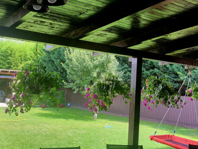 COMISION 0% Casa individuala 6 camere, 693 mp teren - zona Gai imagine mica 12, foxfort.ro