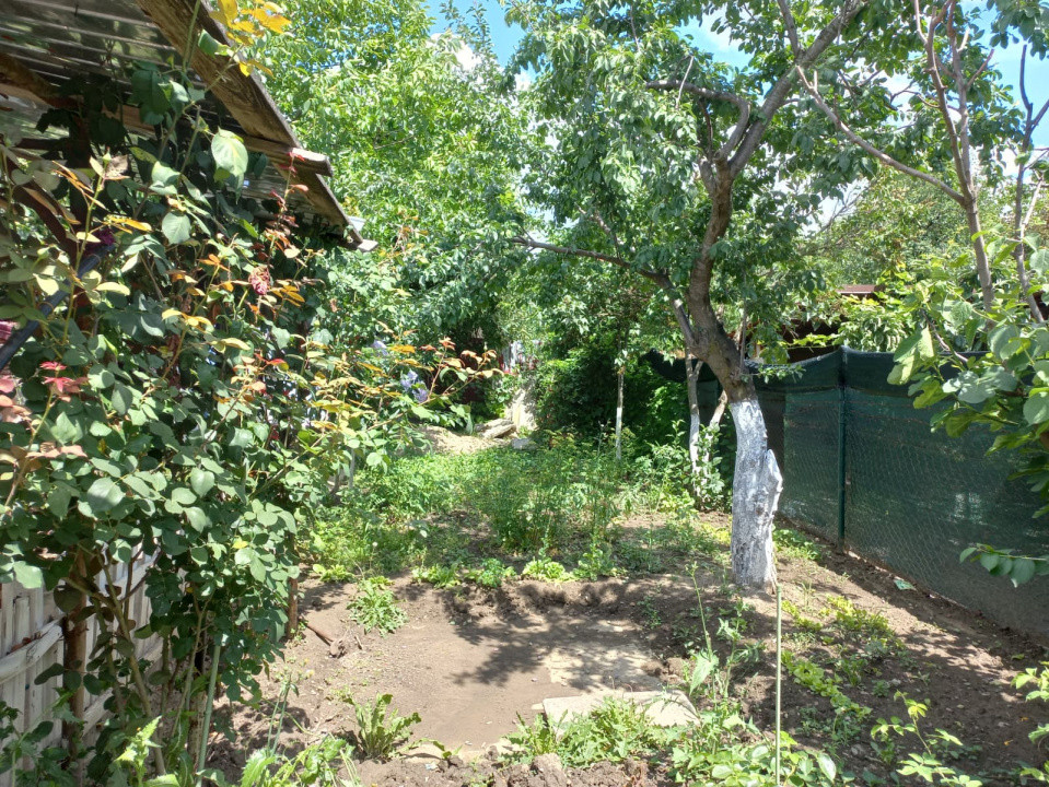 Casa individuala de vanzare in zona Plopi | Teren 489 mp  7, foxfort.ro