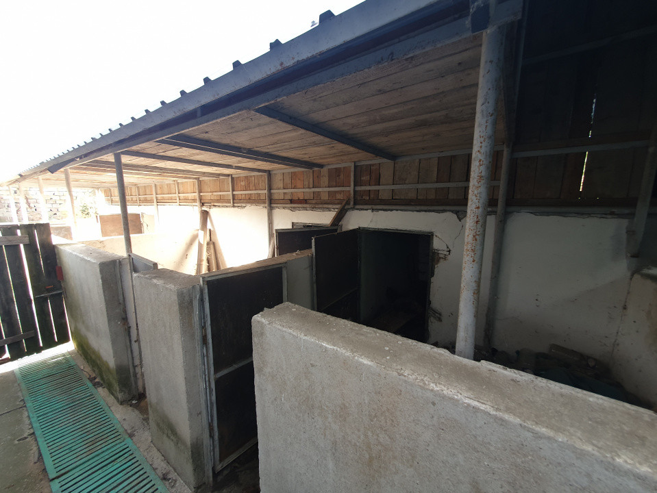 Casa individuala cu 3 camere, 130 mp utili, teren 1238 mp, in Livezile Timis 25, foxfort.ro