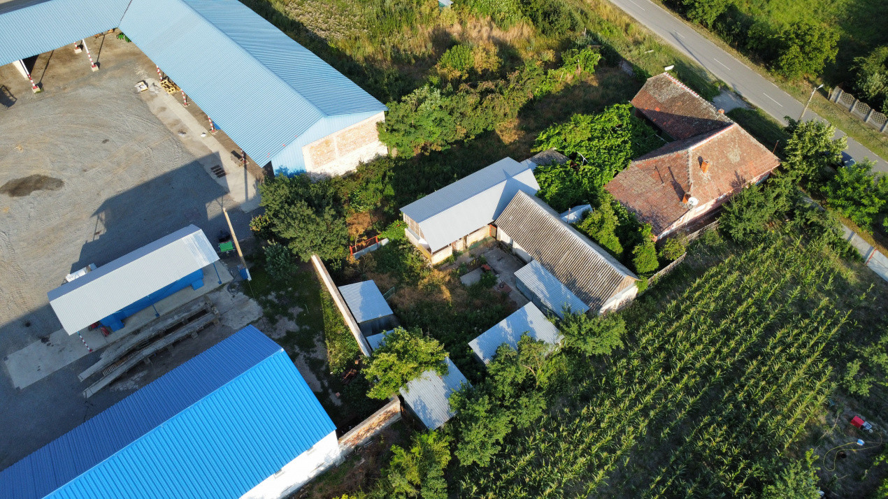 Casa individuala cu 3 camere, 130 mp utili, teren 1238 mp, in Livezile Timis 32, foxfort.ro