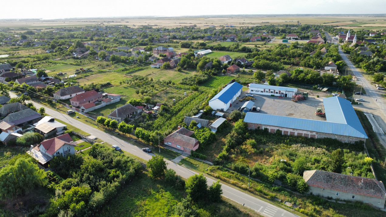 Casa individuala cu 3 camere, 130 mp utili, teren 1238 mp, in Livezile Timis 34, foxfort.ro