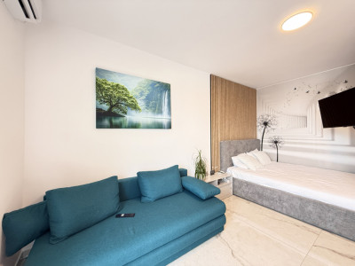 COMISION 0% Apartament cu o camera de inchiriat in Giroc imagine mica 12, foxfort.ro