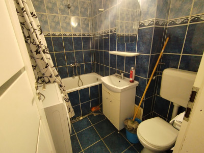 Apartament cu o camera de inchiriat in Timisoara, zona Take Ionescu imagine mica 5, foxfort.ro