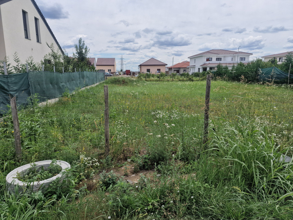 Teren intravilan de 622 mp de vanzare in Mosnita Noua 4, foxfort.ro