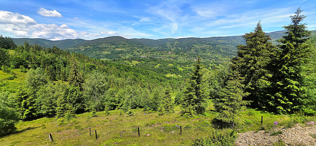 Teren intravilan pretabil constructii de vanzare in Costesti (Albac), Jud. Alba 4, foxfort.ro