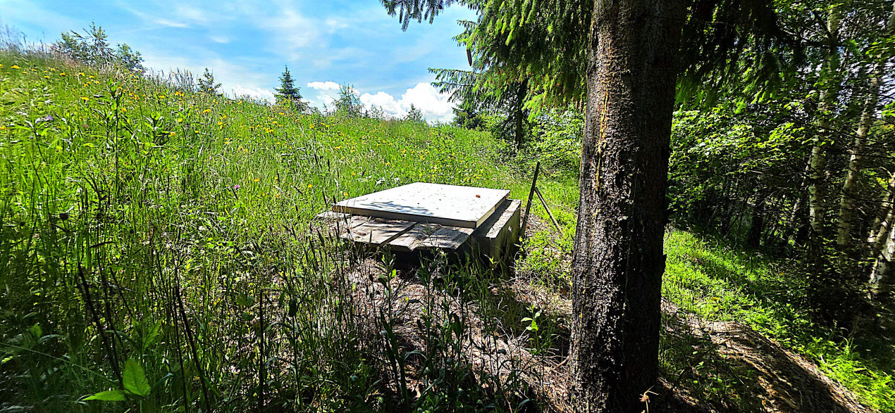 Teren intravilan pretabil constructii de vanzare in Costesti (Albac), Jud. Alba 8, foxfort.ro