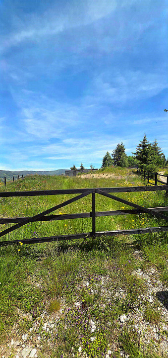 Teren intravilan pretabil constructii de vanzare in Costesti (Albac), Jud. Alba 11, foxfort.ro
