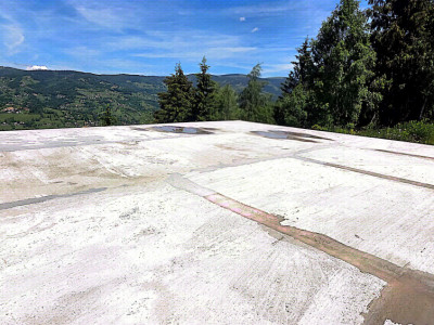 Teren intravilan pretabil constructii de vanzare in Costesti (Albac), Jud. Alba imagine mica 3, foxfort.ro
