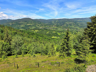 Teren intravilan pretabil constructii de vanzare in Costesti (Albac), Jud. Alba imagine mica 4, foxfort.ro
