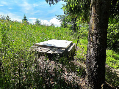 Teren intravilan pretabil constructii de vanzare in Costesti (Albac), Jud. Alba imagine mica 8, foxfort.ro