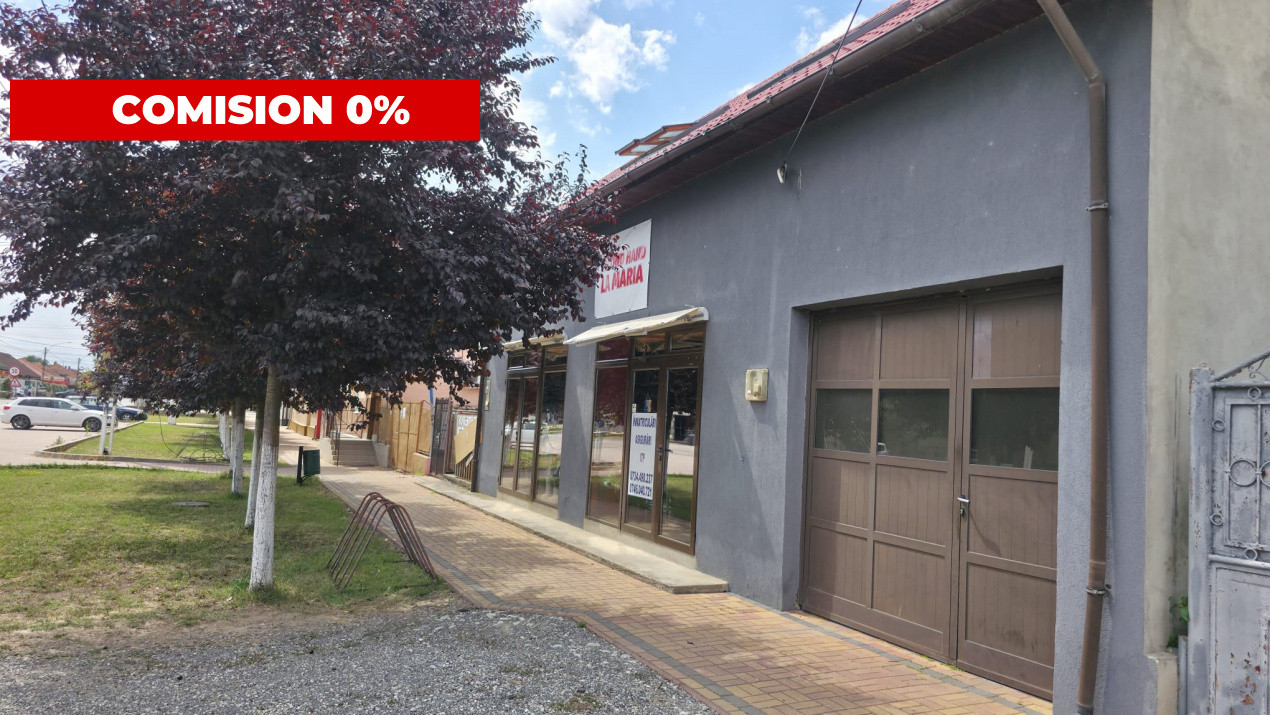 Casa individuala cu 6 camere + 2 spatii comerciale - Gataia 3, foxfort.ro