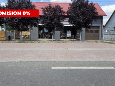 Casa individuala cu 6 camere + 2 spatii comerciale - Gataia