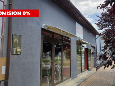 Casa individuala cu 6 camere + 2 spatii comerciale - Gataia imagine mica 2, foxfort.ro