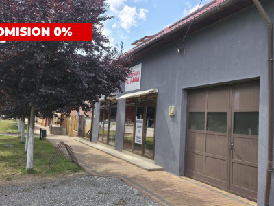 Casa individuala cu 6 camere + 2 spatii comerciale - Gataia imagine mica 3, foxfort.ro