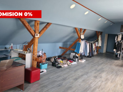 Casa individuala cu 4 camere + 2 spatii comerciale - Gataia imagine mica 24, foxfort.ro