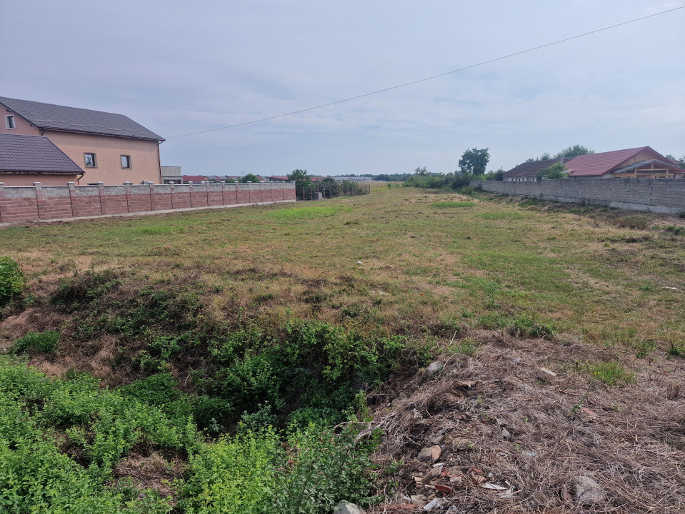 Teren intravilan de 2492 mp de vanzare in Bucovat 1, foxfort.ro