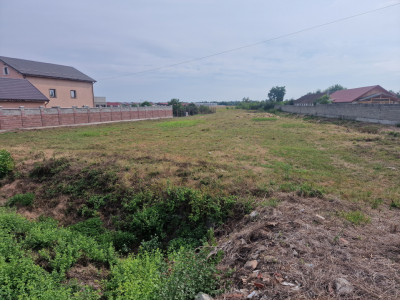 Teren intravilan de 2492 mp de vanzare in Bucovat