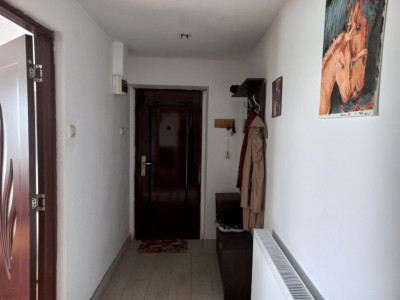 Apartament cu 2 camere de vanzare in Remetea Mare imagine mica 7, foxfort.ro