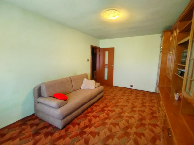 Apartament cu 2 camere de vanzare in Timisoara, zona Girocului imagine mica 10, foxfort.ro