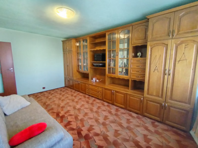 Apartament cu 2 camere de vanzare in Timisoara, zona Girocului imagine mica 11, foxfort.ro